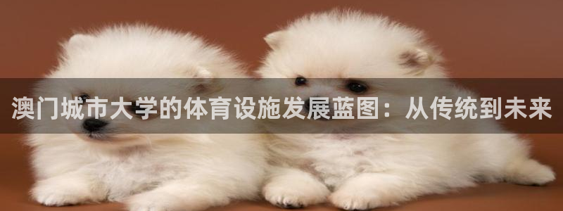 意昂体育4是干嘛的公司：澳门城市大学的体育设施发展蓝