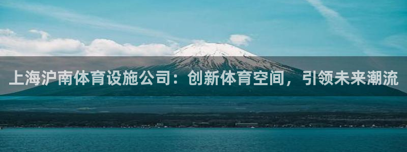 意昂体育4开户：上海沪南体育设施公司：创新体育空间，引领未来