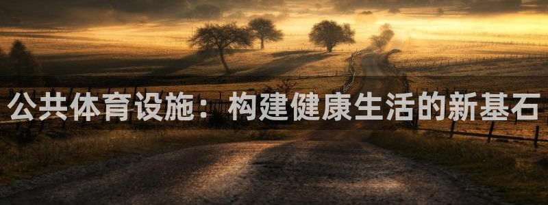意昂体育4平台是正规平台吗：公共体育设施：构建健康生活的新基