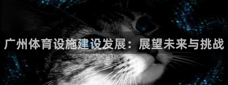 意昂4集团官网首页网址：广州体育设施建设发展：展望未