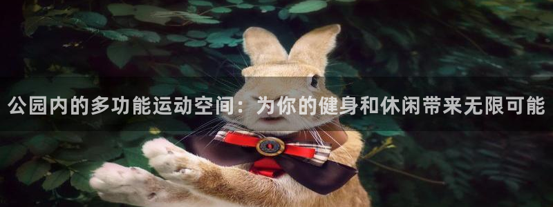 意昂体育4平台是正规平台吗知乎：公园内的多功能运动空