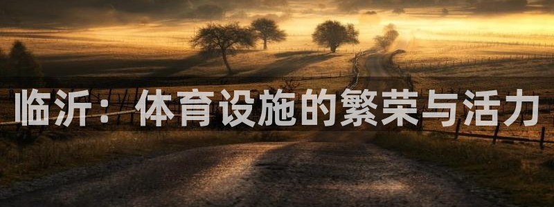 意昂体育4平台注册流程图：临沂：体育设施的繁荣与活力