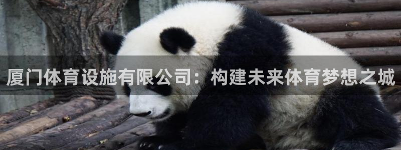 意昂4集团简介：厦门体育设施有限公司：构建未来体育梦想之城