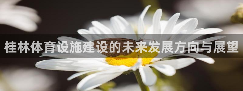 意昂体育4招商电话是多少：桂林体育设施建设的未来发展方向与展 