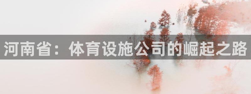 意昂体育4软件：河南省：体育设施公司的崛起之路