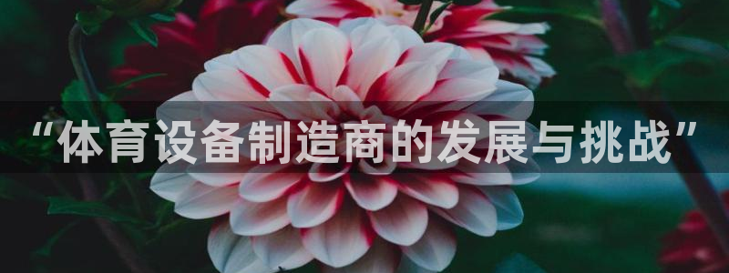 意昂体育4平台注册要钱吗：“体育设备制造商的发展与挑战”