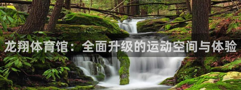 意昂4娱乐平台：龙翔体育馆：全面升级的运动空间与体验