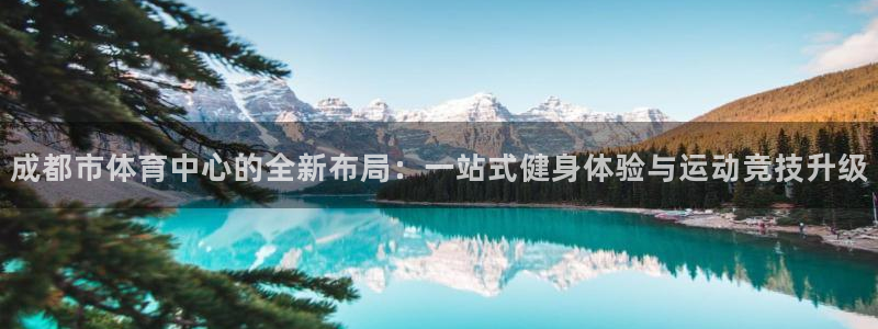 意昂体育4是干嘛的公司：成都市体育中心的全新布局：一