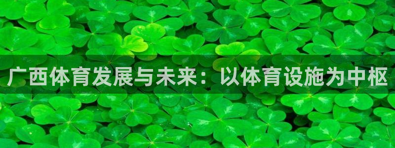 海南意昂体育4：广西体育发展与未来：以体育设施为中枢