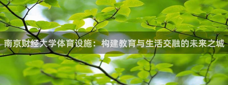 意昂体育4平台注册流程视频：南京财经大学体育设施：构