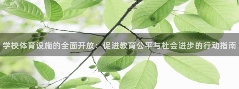 意昂4集团简介：学校体育设施的全面开放：促进教育公平与社会进