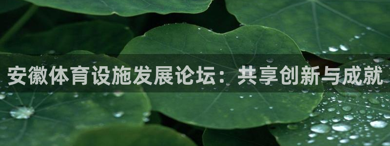 意昂4官网：安徽体育设施发展论坛：共享创新与成就