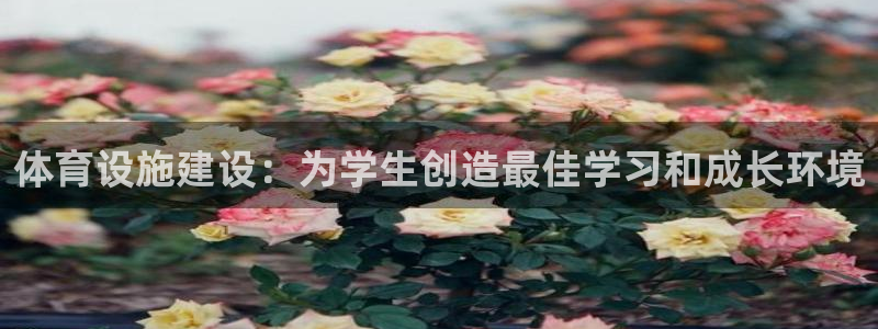 意昂体育4联系电话：体育设施建设：为学生创造最佳学习和成长环
