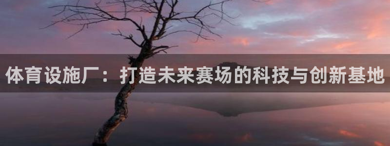 意昂4官方：体育设施厂：打造未来赛场的科技与创新基地