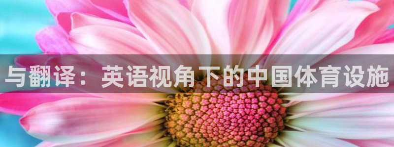 意昂体育4平台注册流程图：与翻译：英语视角下的中国体