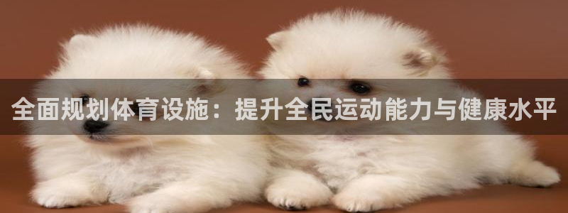 意昂体育4招商电话号码是多少：全面规划体育设施：提升全民运动 
