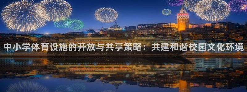 意昂体育4平台注册流程图：中小学体育设施的开放与共享策略：共