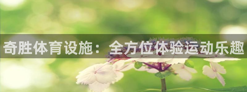 海南意昂体育4：奇胜体育设施：全方位体验运动乐趣