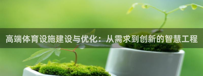 意昂4娱乐代理怎么样：高端体育设施建设与优化：从需求到创新的