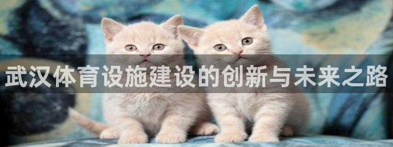 意昂体育4官方客服电话：武汉体育设施建设的创新与未来之路