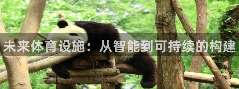 意昂4娱乐是那个系列的台子：未来体育设施：从智能到可持续的构
