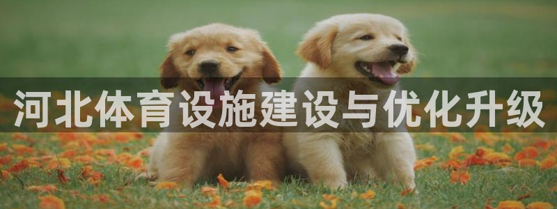 意昂体育4平台是正规平台吗安全吗：河北体育设施建设与