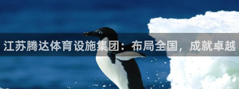 意昂4娱乐：江苏腾达体育设施集团：布局全国，成就卓越
