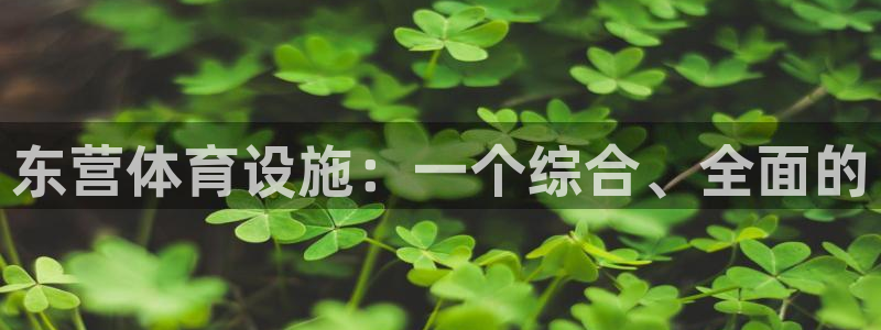 意昂4娱乐首页官网下载：东营体育设施：一个综合、全面