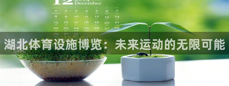 意昂4娱乐平台：湖北体育设施博览：未来运动的无限可能