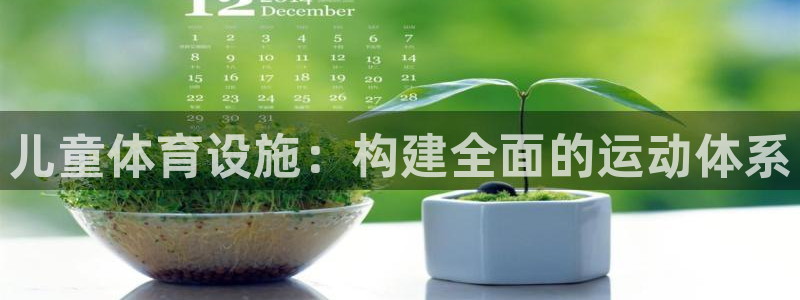 意昂体育4：儿童体育设施：构建全面的运动体系