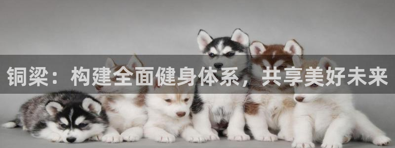 意昂体育4平台注册流程视频：铜梁：构建全面健身体系，