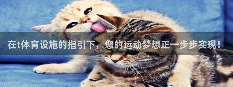 意昂体育4平台注册要钱吗：在t体育设施的指引下，您的