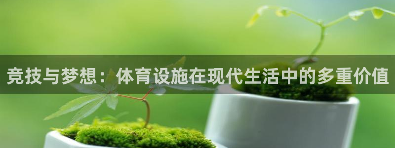 注册意昂4：竞技与梦想：体育设施在现代生活中的多重价