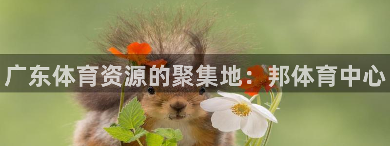 意昂4娱乐平台：广东体育资源的聚集地：邦体育中心