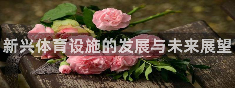 意昂4娱乐：新兴体育设施的发展与未来展望