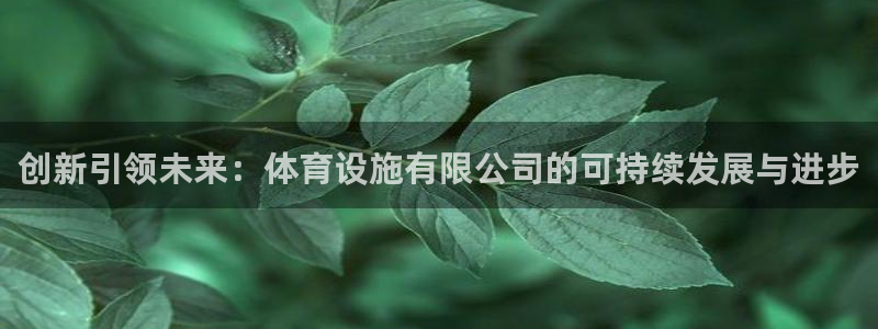 意昂体育4平台注册流程图：创新引领未来：体育设施有限