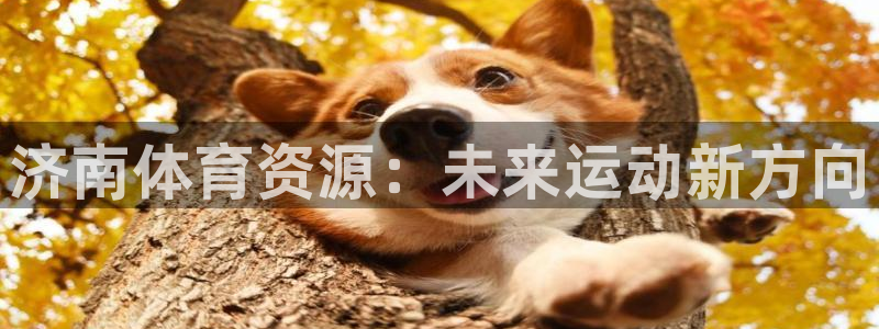 意昂体育4招商电话是多少