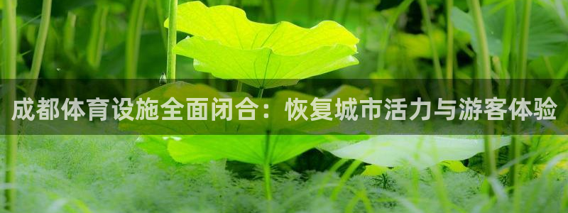 意昂4科技：成都体育设施全面闭合：恢复城市活力与游客体验