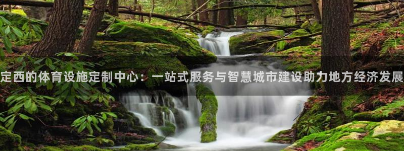 意昂体育4联系电话：定西的体育设施定制中心：一站式服