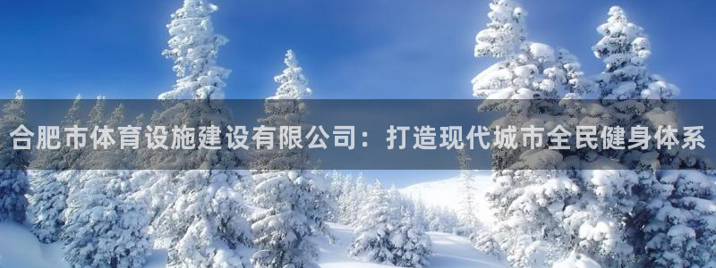 意昂4集团：合肥市体育设施建设有限公司：打造现代城市全民健身