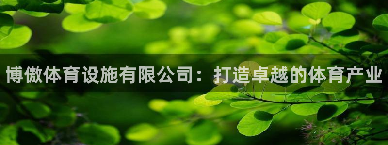 意昂4娱乐下载：博傲体育设施有限公司：打造卓越的体育产业 